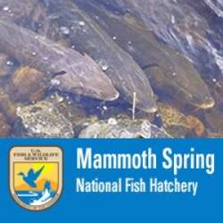 Mammoth Spring National Fish Hatchery